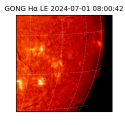 gong - 2024-07-01T08:00:42