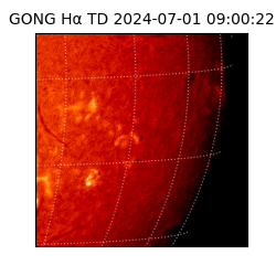 gong - 2024-07-01T09:00:22