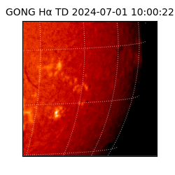 gong - 2024-07-01T10:00:22