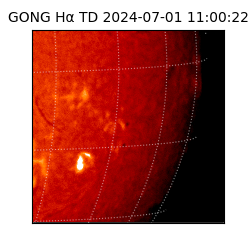 gong - 2024-07-01T11:00:22