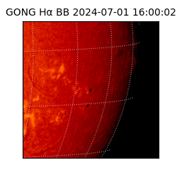 gong - 2024-07-01T16:00:02