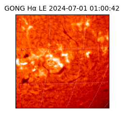 gong - 2024-07-01T01:00:42