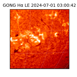 gong - 2024-07-01T03:00:42