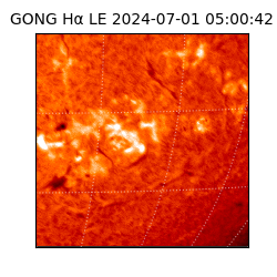 gong - 2024-07-01T05:00:42