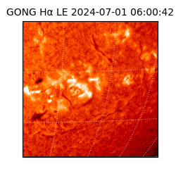 gong - 2024-07-01T06:00:42