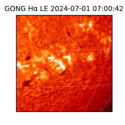 gong - 2024-07-01T07:00:42