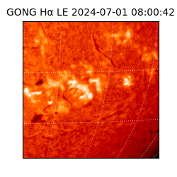 gong - 2024-07-01T08:00:42