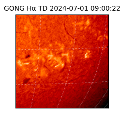 gong - 2024-07-01T09:00:22