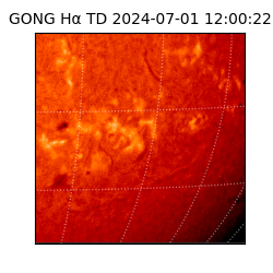 gong - 2024-07-01T12:00:22