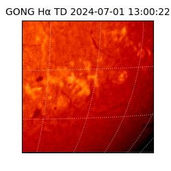 gong - 2024-07-01T13:00:22