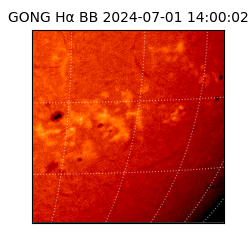 gong - 2024-07-01T14:00:02