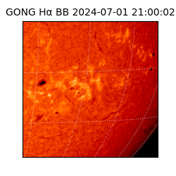 gong - 2024-07-01T21:00:02