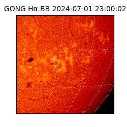 gong - 2024-07-01T23:00:02