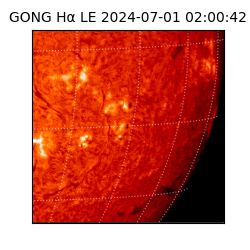 gong - 2024-07-01T02:00:42