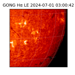 gong - 2024-07-01T03:00:42