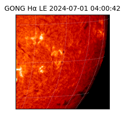 gong - 2024-07-01T04:00:42