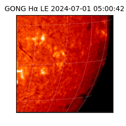 gong - 2024-07-01T05:00:42