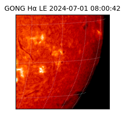 gong - 2024-07-01T08:00:42