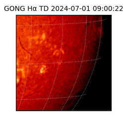 gong - 2024-07-01T09:00:22