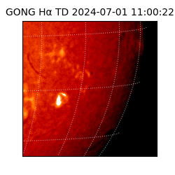 gong - 2024-07-01T11:00:22