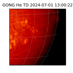 gong - 2024-07-01T13:00:22