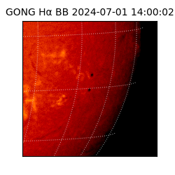 gong - 2024-07-01T14:00:02