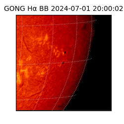 gong - 2024-07-01T20:00:02
