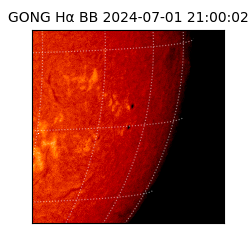 gong - 2024-07-01T21:00:02