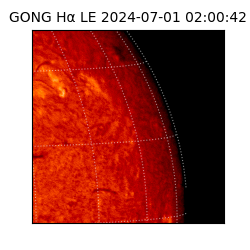 gong - 2024-07-01T02:00:42