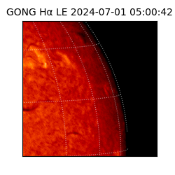 gong - 2024-07-01T05:00:42