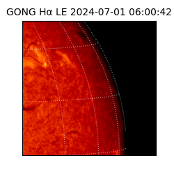 gong - 2024-07-01T06:00:42