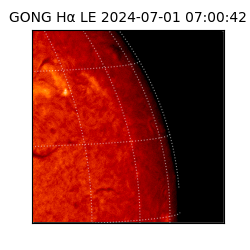 gong - 2024-07-01T07:00:42