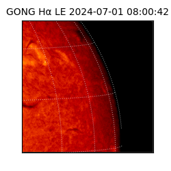 gong - 2024-07-01T08:00:42