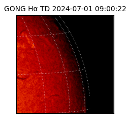 gong - 2024-07-01T09:00:22