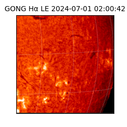 gong - 2024-07-01T02:00:42