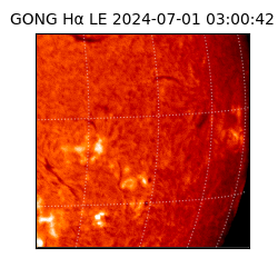 gong - 2024-07-01T03:00:42