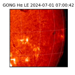 gong - 2024-07-01T07:00:42