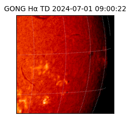 gong - 2024-07-01T09:00:22