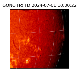 gong - 2024-07-01T10:00:22