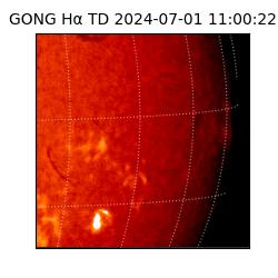 gong - 2024-07-01T11:00:22