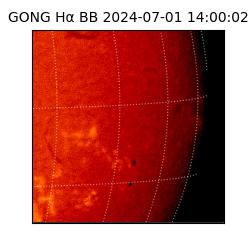 gong - 2024-07-01T14:00:02