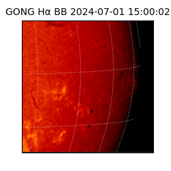 gong - 2024-07-01T15:00:02