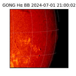 gong - 2024-07-01T21:00:02