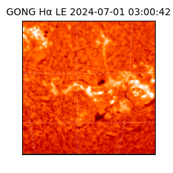 gong - 2024-07-01T03:00:42