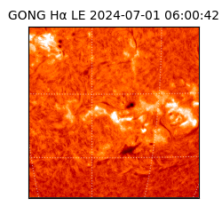 gong - 2024-07-01T06:00:42