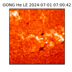 gong - 2024-07-01T07:00:42