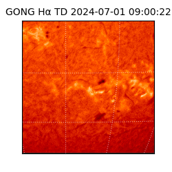 gong - 2024-07-01T09:00:22