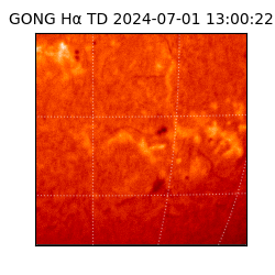 gong - 2024-07-01T13:00:22
