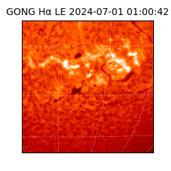 gong - 2024-07-01T01:00:42