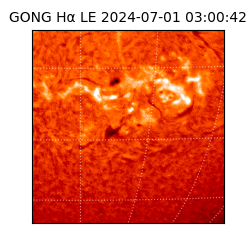 gong - 2024-07-01T03:00:42